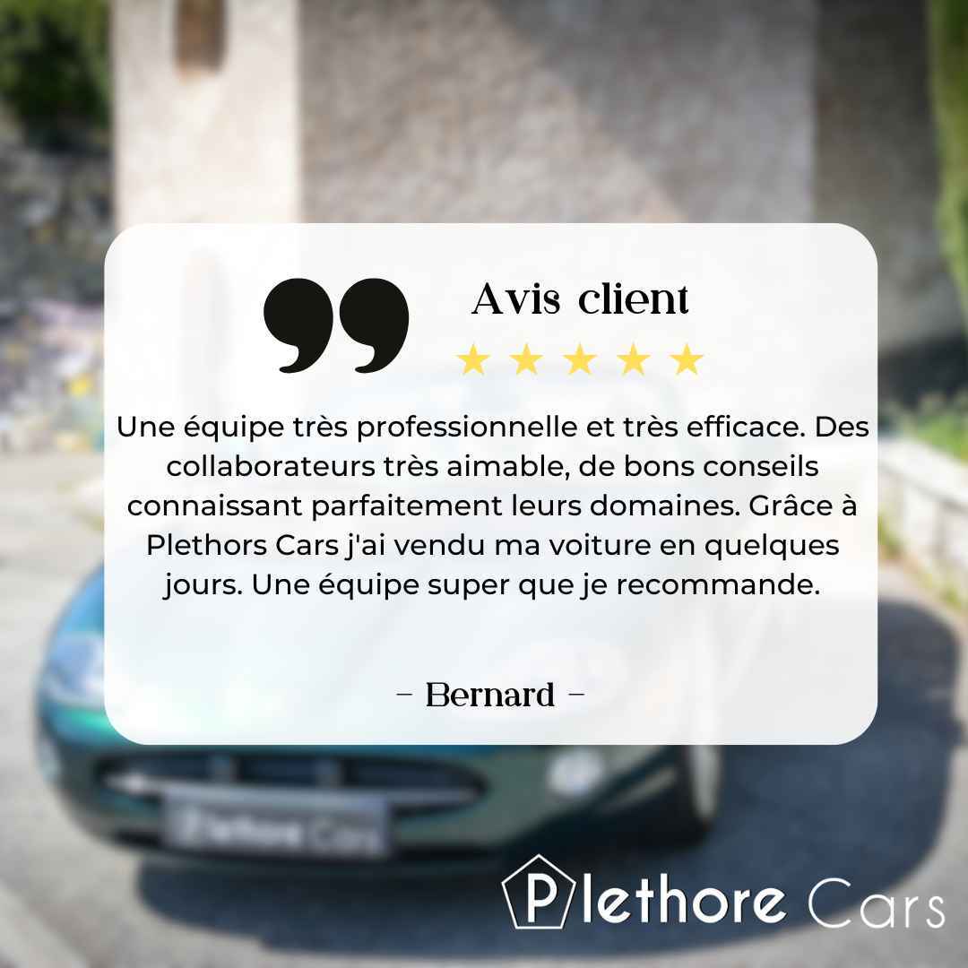 Avis google sur plethore.fr 5